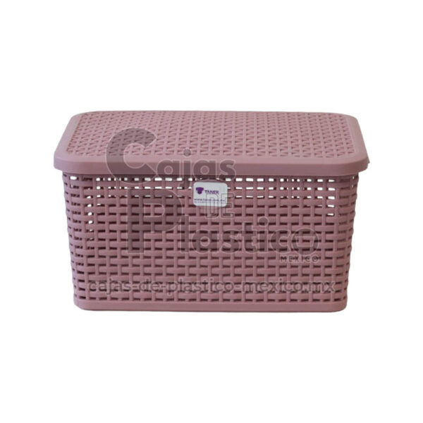 Caja Plastica Rattan Con Tapa - Mexico, CDMX