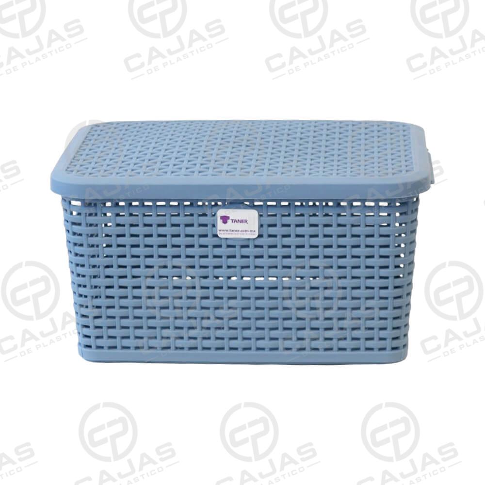 Caja Rattan Con Tapa Mexico CDMX 03