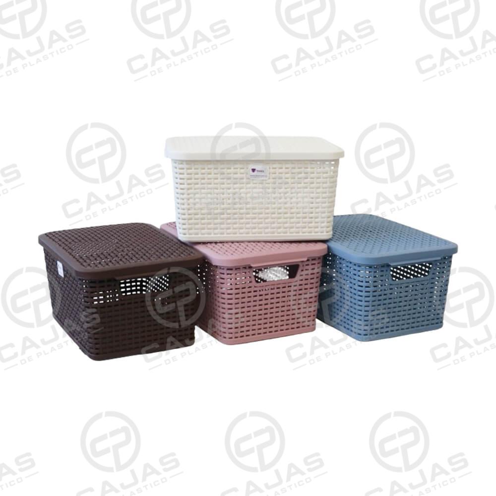 Caja Rattan Con Tapa Mexico CDMX 04